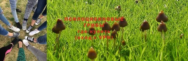 круглые Зеленодольск