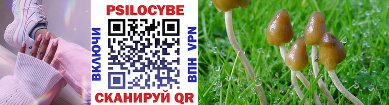 Купить где Губаха Псилоцибиновые грибы GOLDEN TEACHER
