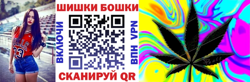 Бошки Шишки THC 21%  Купить закладки  Губаха 